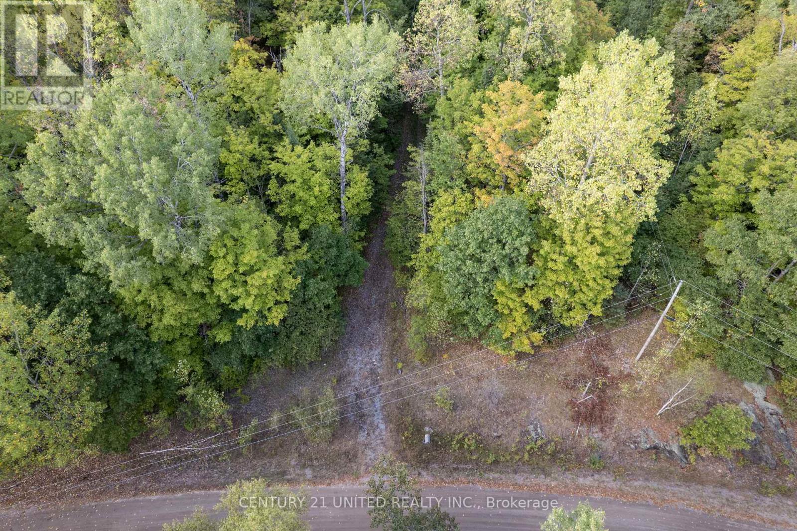 23 Rusaw Road, North Kawartha, Ontario K0L 1A0 - Photo 11 - X12996342