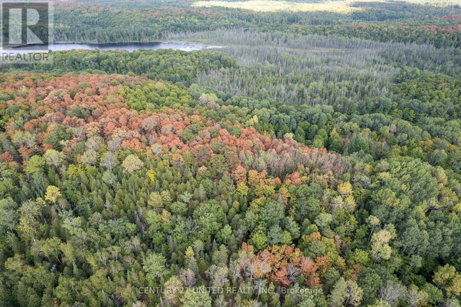 23 Rusaw Road, North Kawartha, Ontario K0L 1A0 - Photo 12 - X12996342