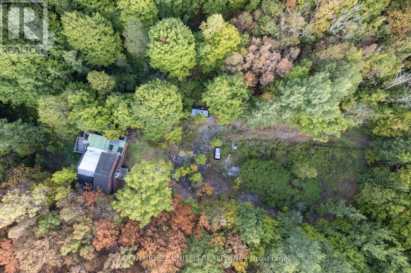 23 Rusaw Road, North Kawartha, Ontario K0L 1A0 - Photo 3 - X12996342