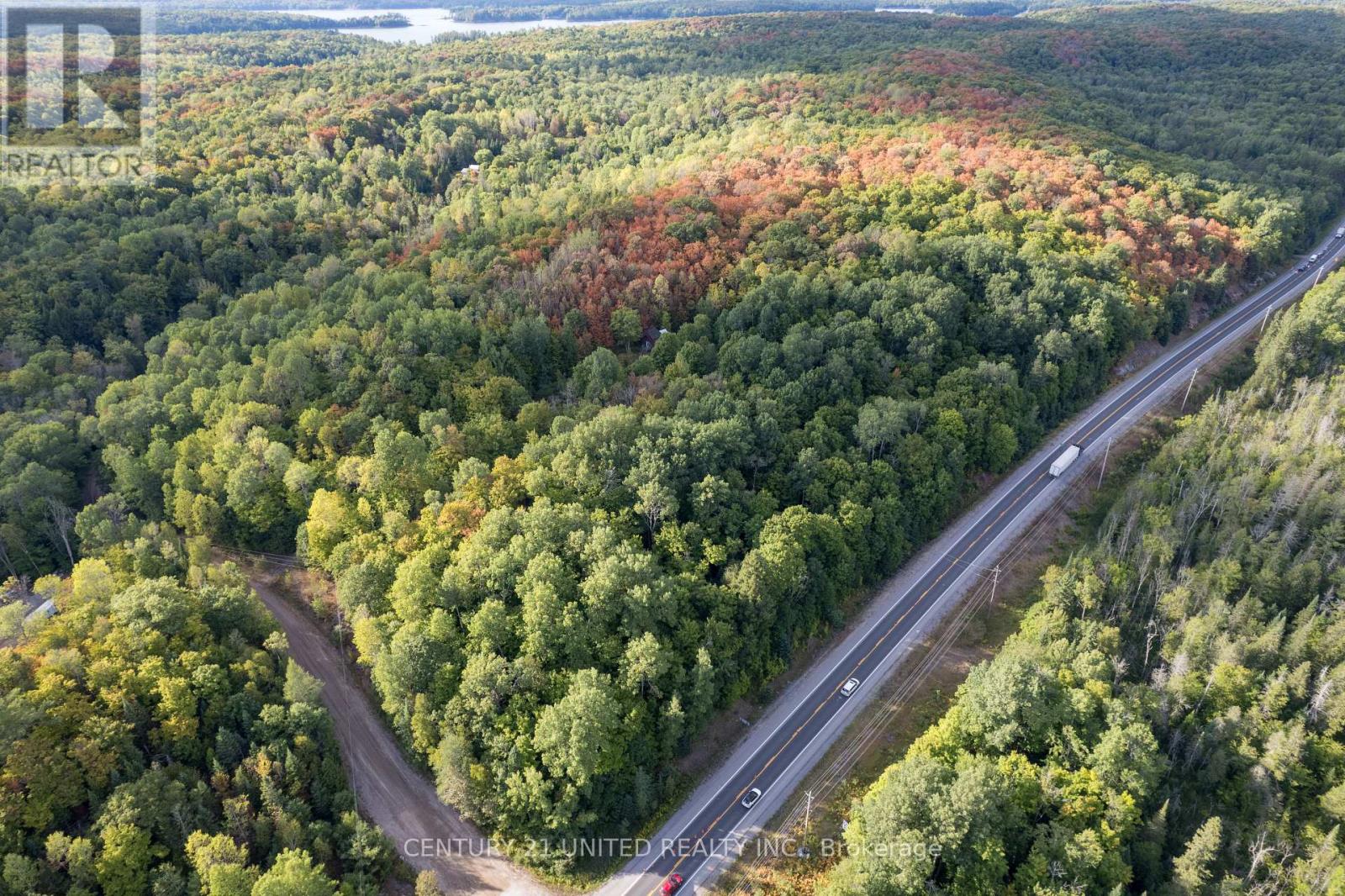 23 Rusaw Road, North Kawartha, Ontario K0L 1A0 - Photo 4 - X12996342