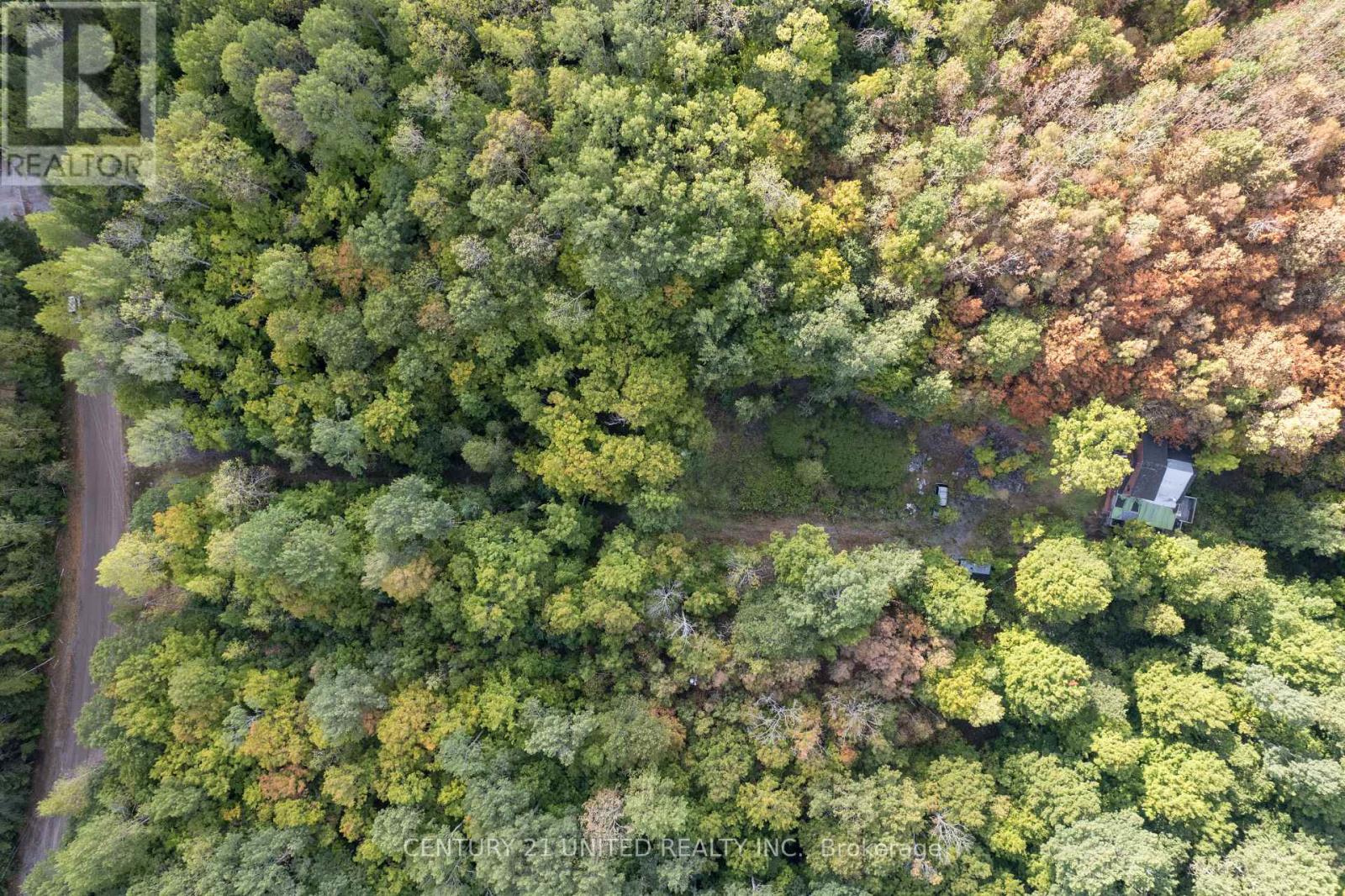 23 Rusaw Road, North Kawartha, Ontario K0L 1A0 - Photo 5 - X12996342