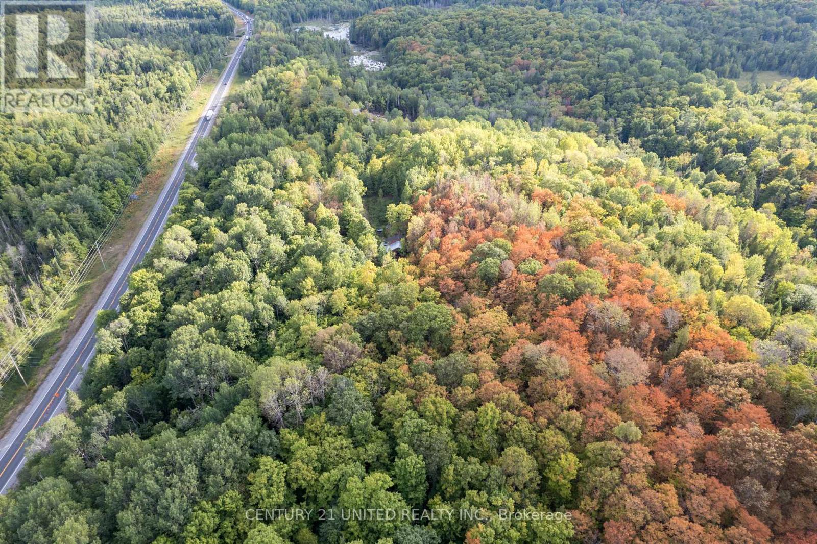 23 Rusaw Road, North Kawartha, Ontario K0L 1A0 - Photo 6 - X12996342