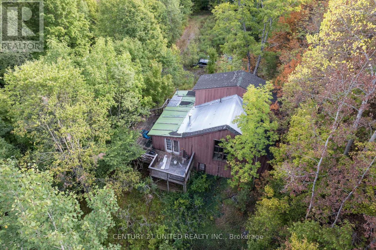 23 Rusaw Road, North Kawartha, Ontario K0L 1A0 - Photo 7 - X12996342