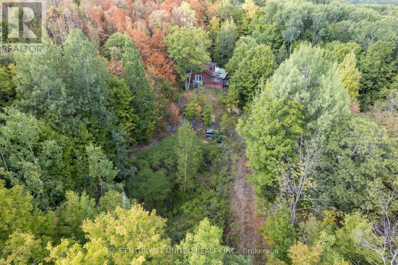 23 Rusaw Road, North Kawartha, Ontario K0L 1A0 - Photo 9 - X12996342