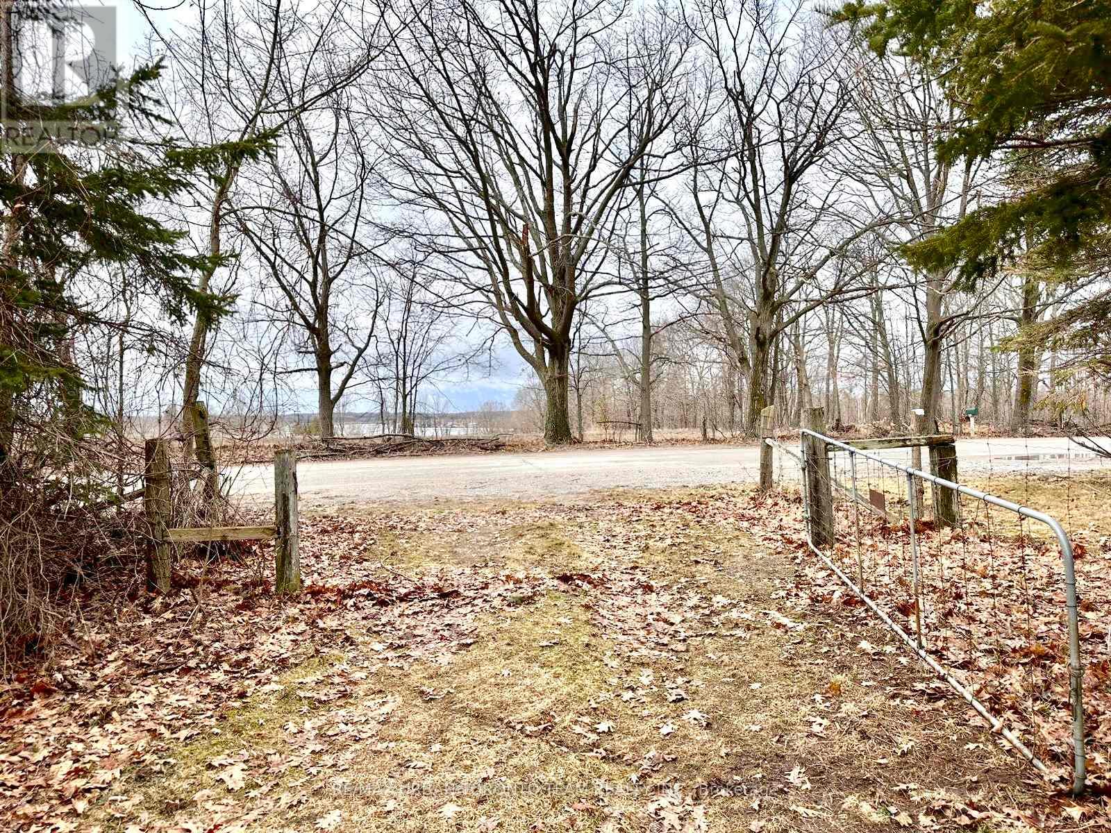 414 North Line Road, Kawartha Lakes, Ontario  K0M 1N0 - Photo 13 - X12996206