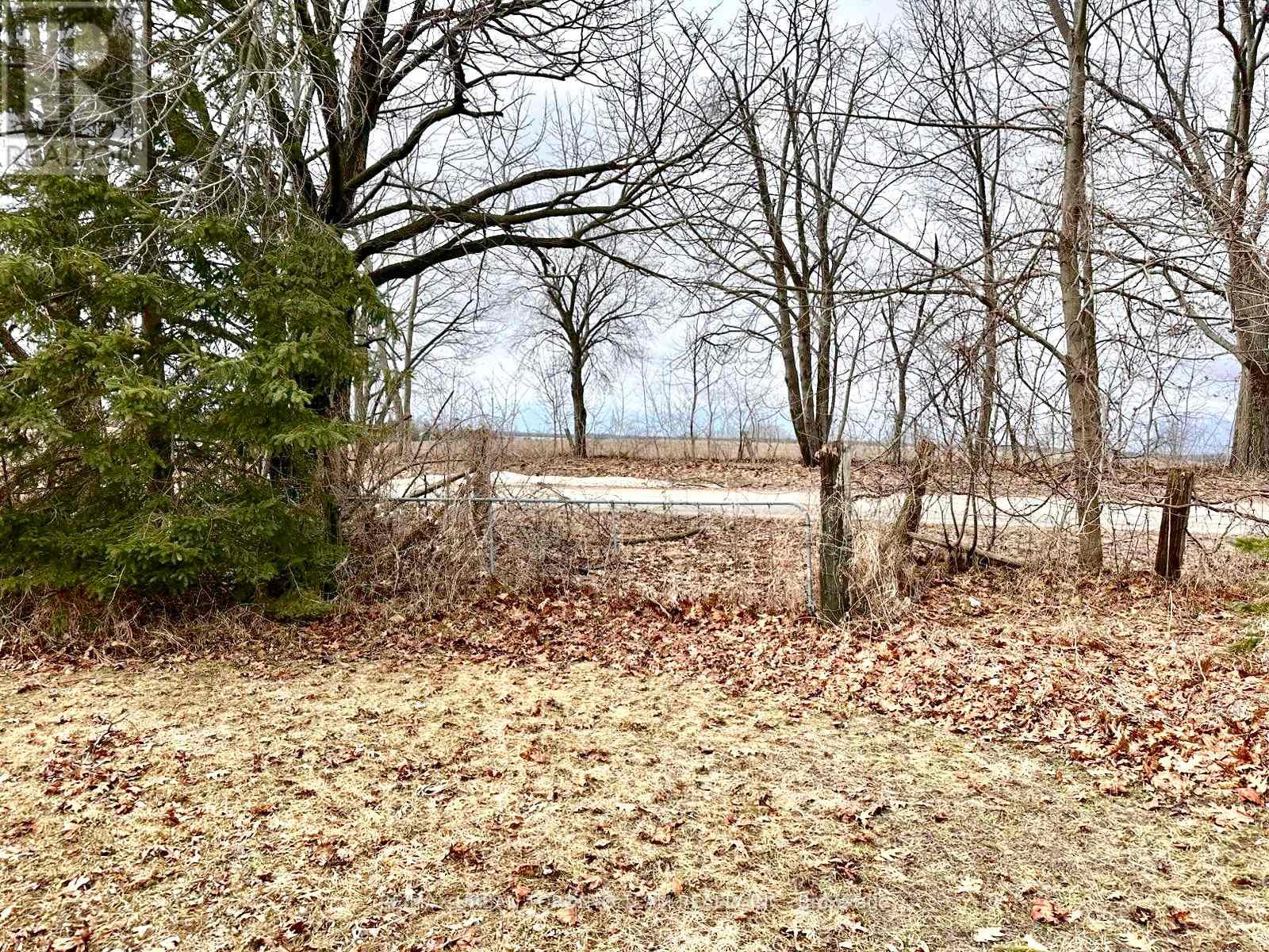 414 North Line Road, Kawartha Lakes, Ontario  K0M 1N0 - Photo 14 - X12996206