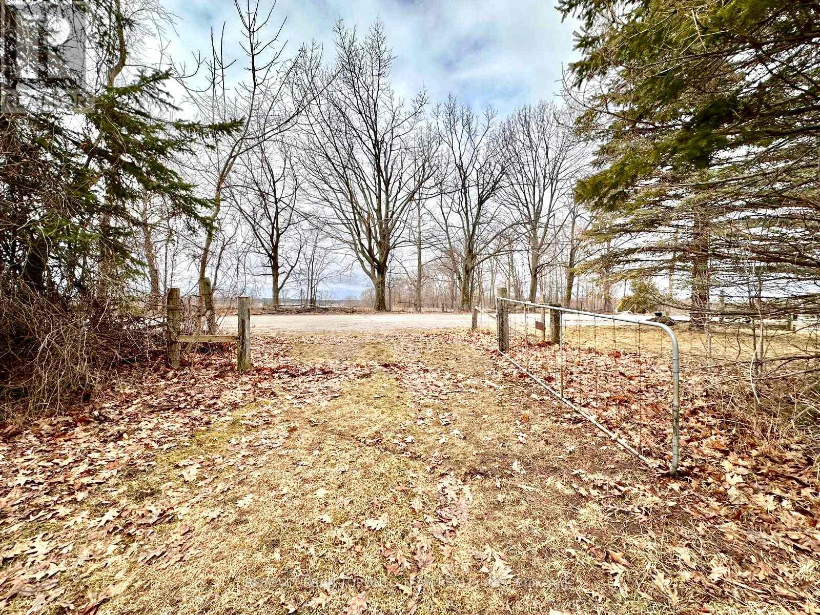 414 North Line Road, Kawartha Lakes, Ontario  K0M 1N0 - Photo 2 - X12996206
