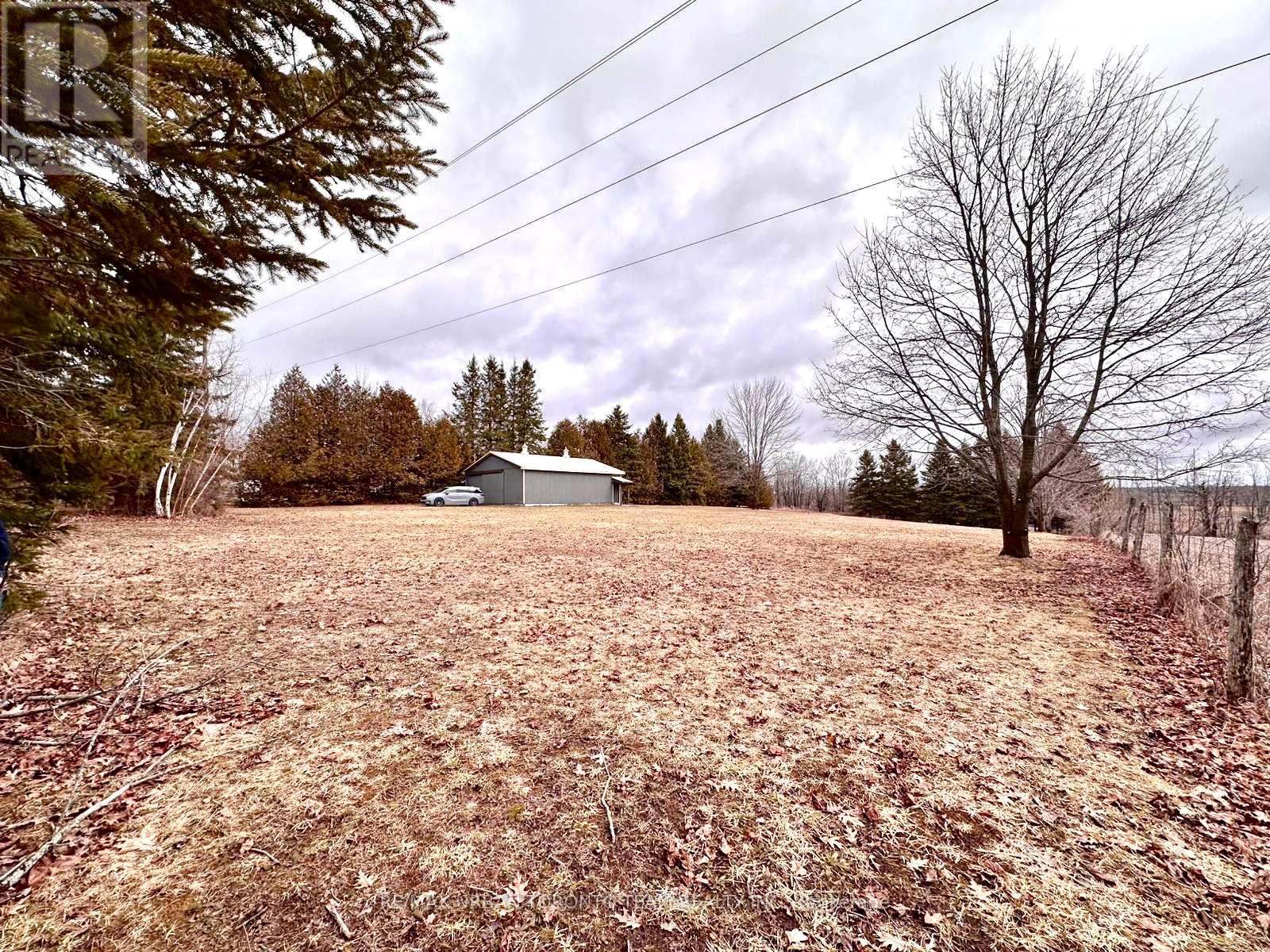 414 North Line Road, Kawartha Lakes, Ontario  K0M 1N0 - Photo 7 - X12996206