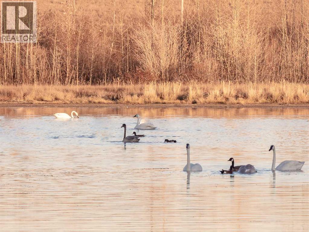 15 Montenaro Bay, Cochrane Lake, Alberta  T4C 0A5 - Photo 50 - A2298692