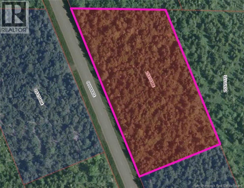 Lot 23 Route 495, Mundleville, New Brunswick  E4W 3N5 - Photo 4 - NB137174