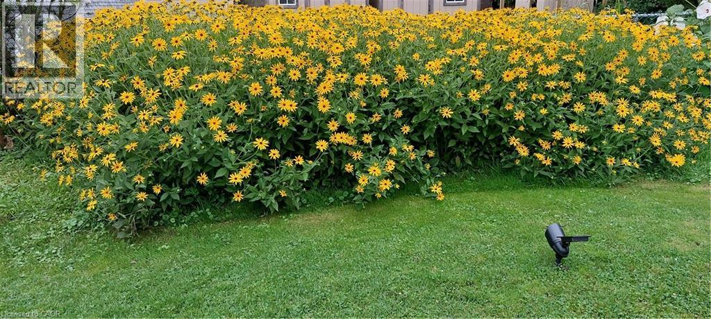 108 New Lakeshore Road, Port Dover, Ontario  N0A 1N8 - Photo 33 - 40819804