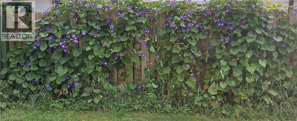 108 New Lakeshore Road, Port Dover, Ontario  N0A 1N8 - Photo 34 - 40819804