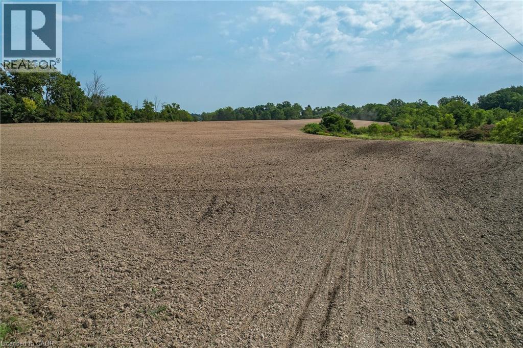 Pt Lt 23 River Road, Cayuga, Ontario  N0A 1E0 - Photo 21 - 40820689