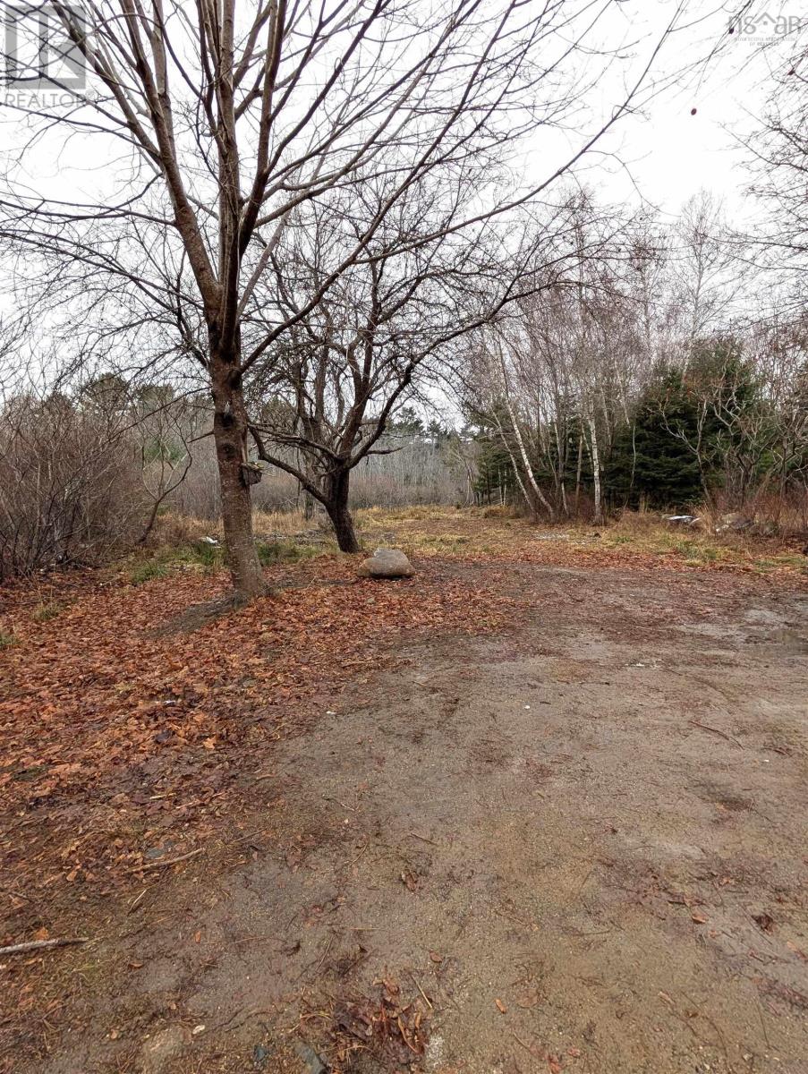 165 St. Phillips Street, Bridgewater, Nova Scotia  B4V 1W6 - Photo 17 - 202529313