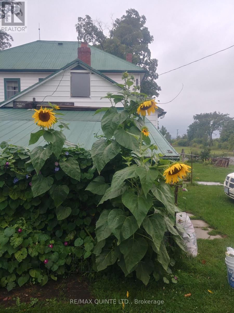 3511 County Road 1, Prince Edward County, Ontario  K0K 1G0 - Photo 40 - X12952552