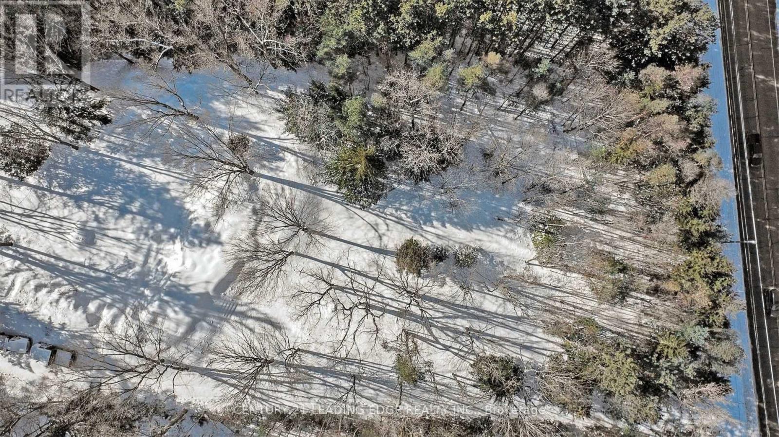 4035 Aurora Road, Whitchurch-Stouffville, Ontario  L3Y 4W1 - Photo 12 - N12996458