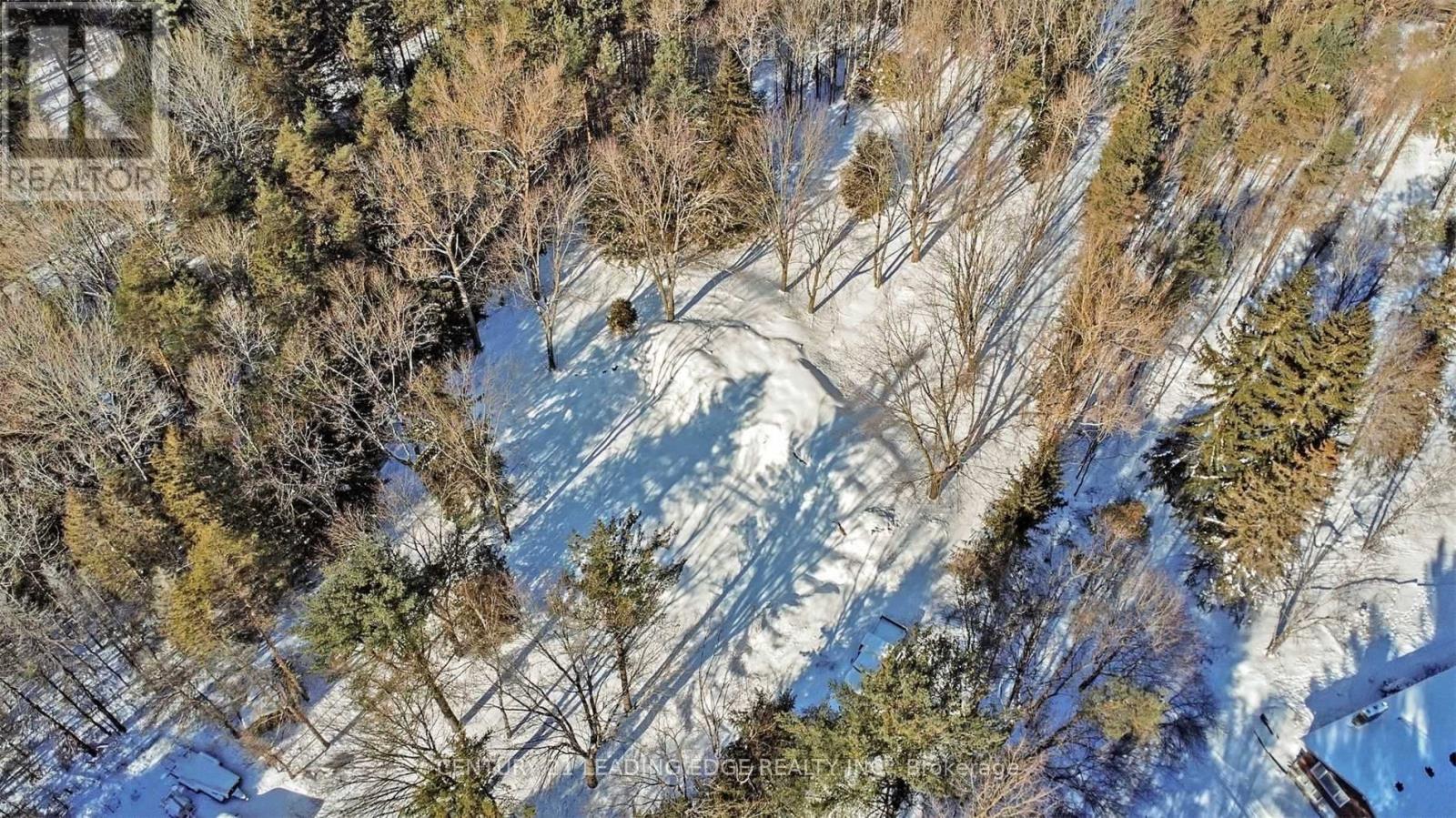 4035 Aurora Road, Whitchurch-Stouffville, Ontario  L3Y 4W1 - Photo 13 - N12996458