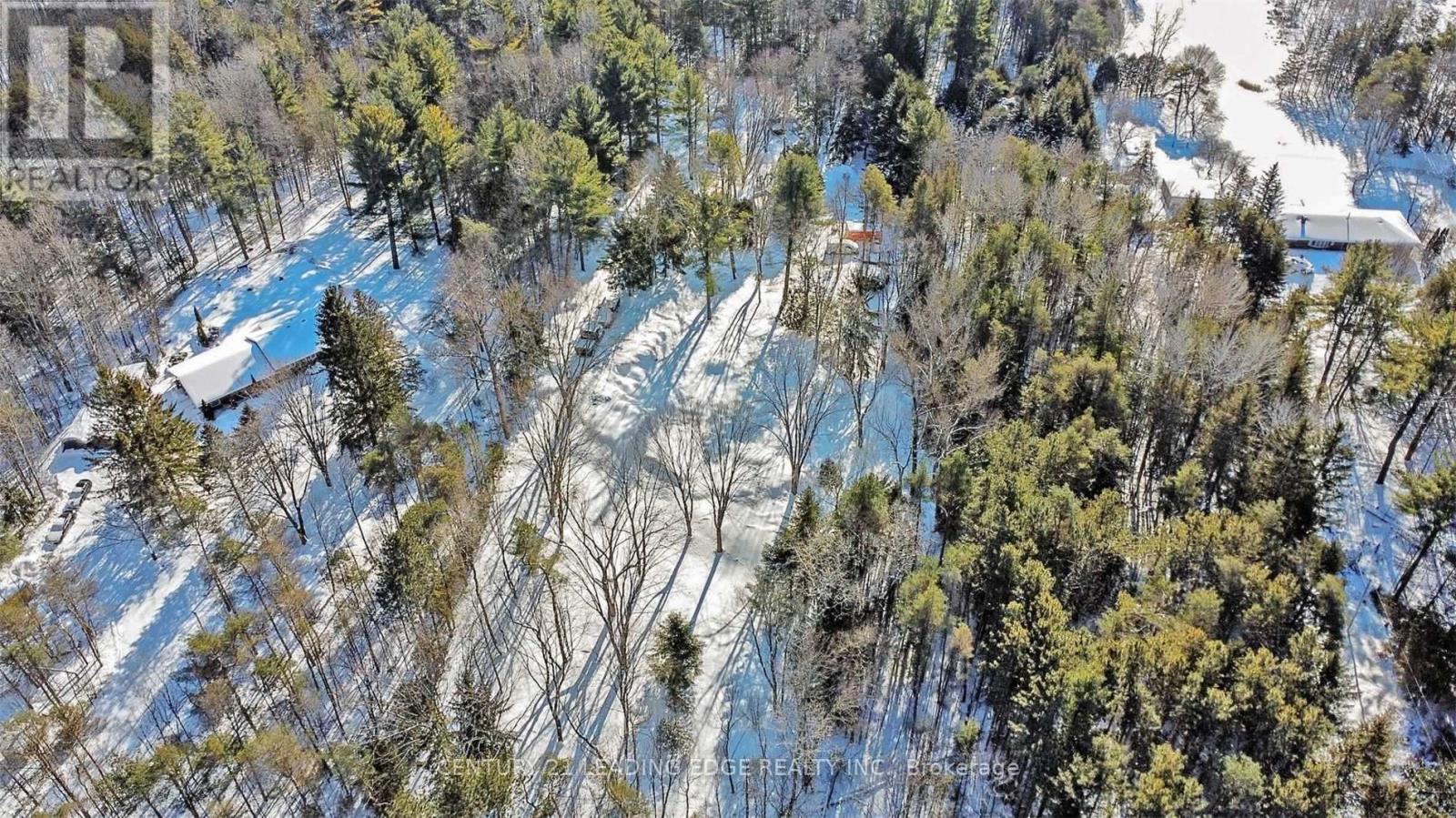 4035 Aurora Road, Whitchurch-Stouffville, Ontario  L3Y 4W1 - Photo 15 - N12996458