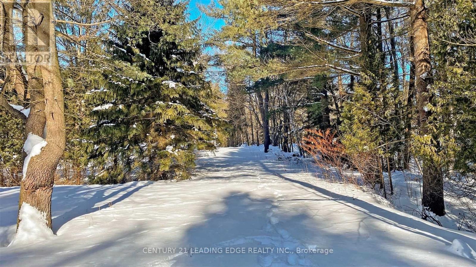 4035 Aurora Road, Whitchurch-Stouffville, Ontario  L3Y 4W1 - Photo 20 - N12996458