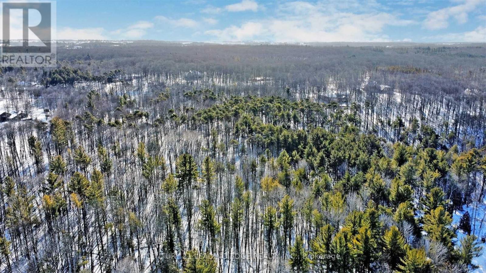 4035 Aurora Road, Whitchurch-Stouffville, Ontario  L3Y 4W1 - Photo 29 - N12996458