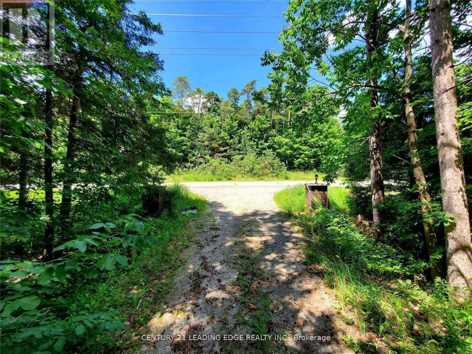 4035 Aurora Road, Whitchurch-Stouffville, Ontario  L3Y 4W1 - Photo 4 - N12996458