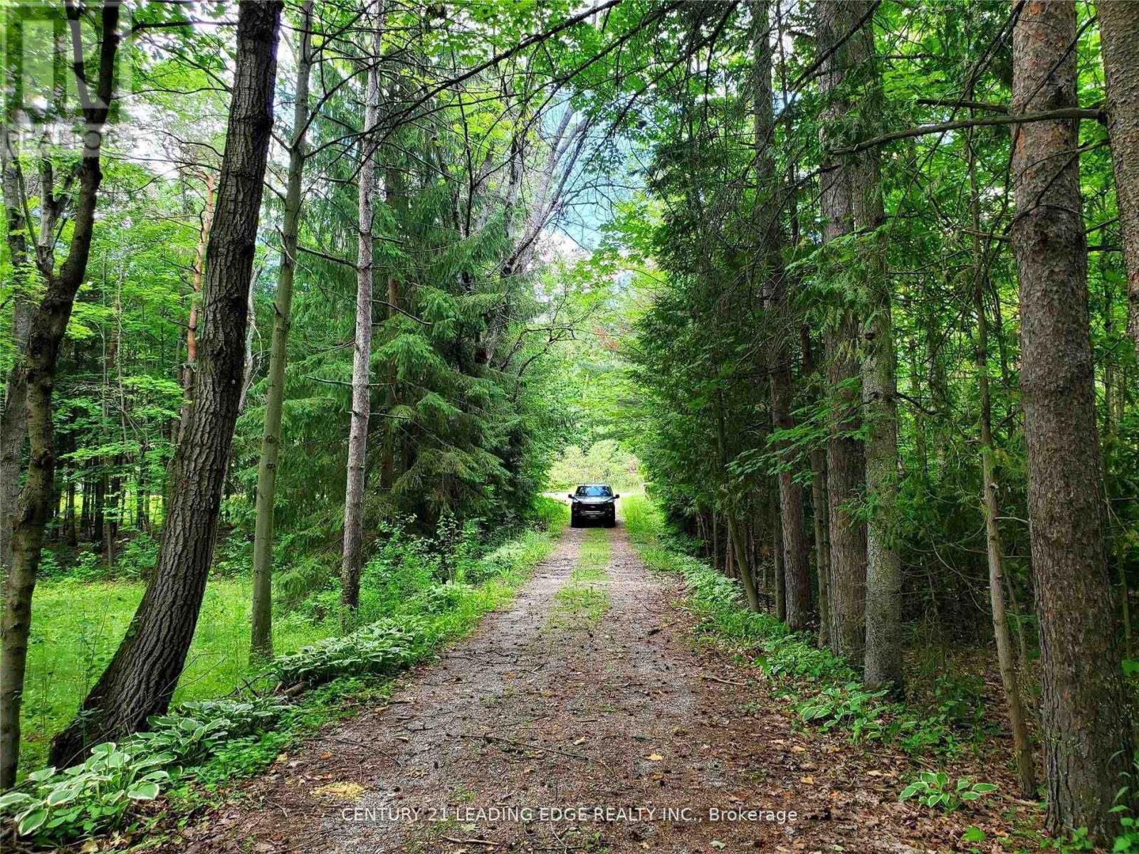 4035 Aurora Road, Whitchurch-Stouffville, Ontario  L3Y 4W1 - Photo 5 - N12996458