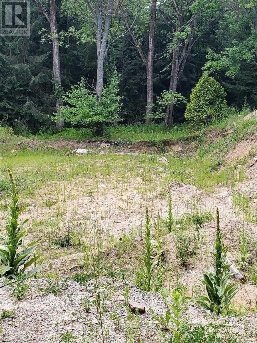 4035 Aurora Road, Whitchurch-Stouffville, Ontario  L3Y 4W1 - Photo 6 - N12996458