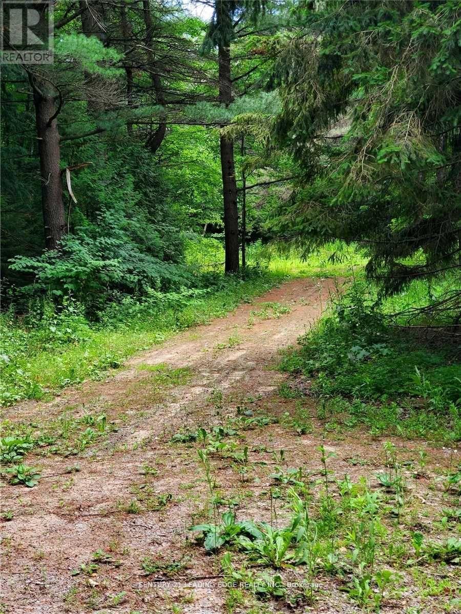 4035 Aurora Road, Whitchurch-Stouffville, Ontario  L3Y 4W1 - Photo 7 - N12996458