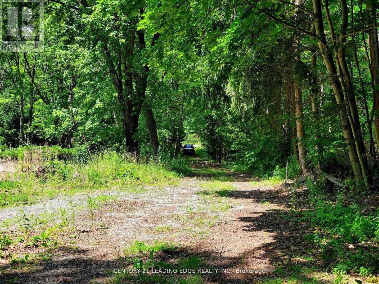 4035 Aurora Road, Whitchurch-Stouffville, Ontario  L3Y 4W1 - Photo 8 - N12996458