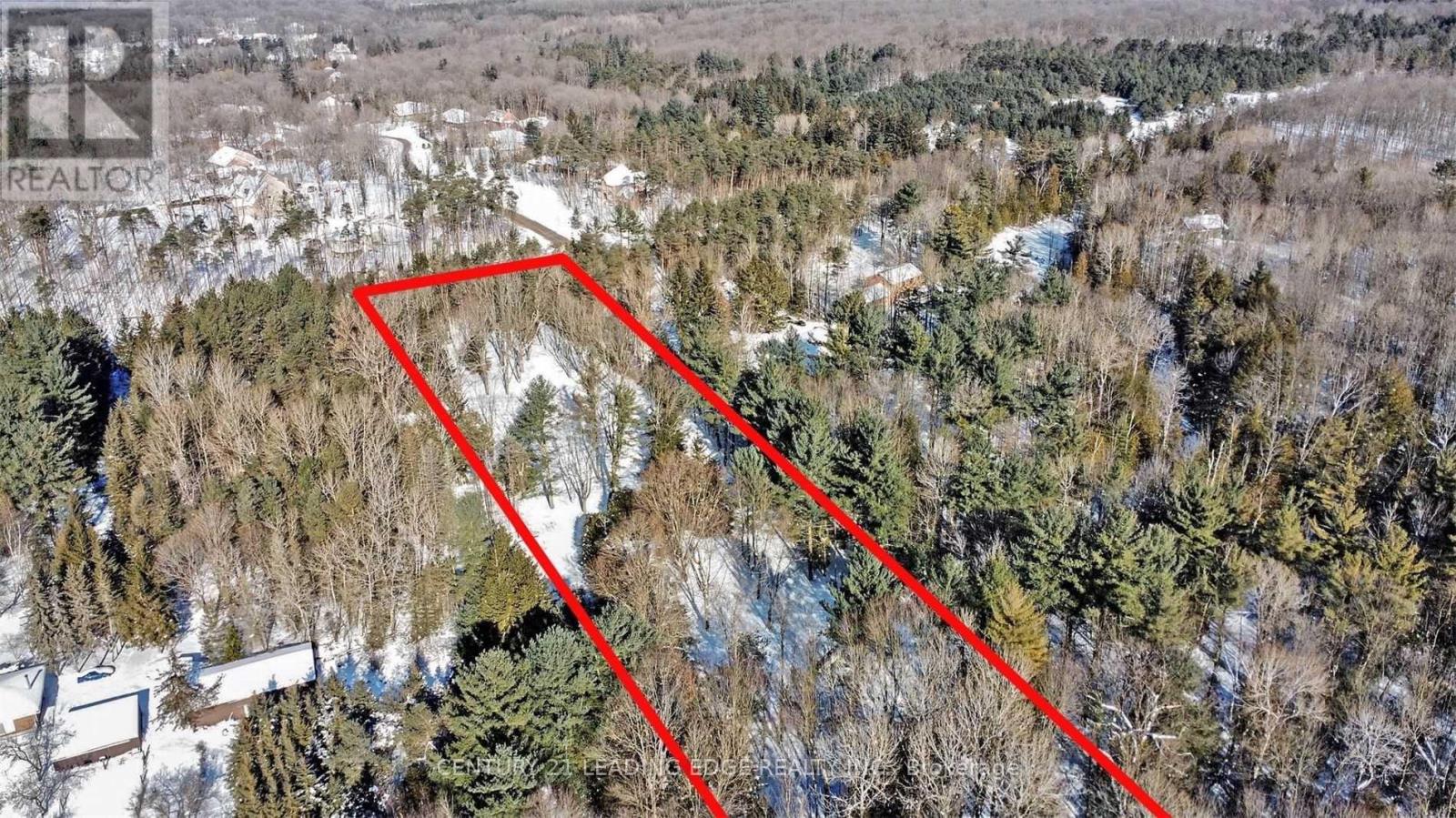 4035 Aurora Road, Whitchurch-Stouffville, Ontario  L3Y 4W1 - Photo 9 - N12996458