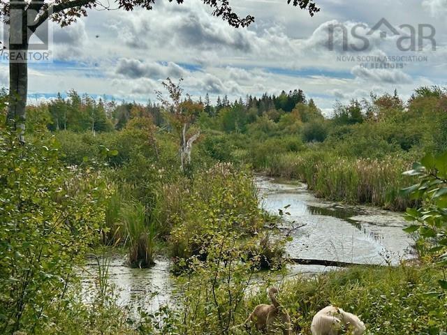 1143 Upper River John Road, Middleton, Nova Scotia  B0K 1V0 - Photo 18 - 202607339