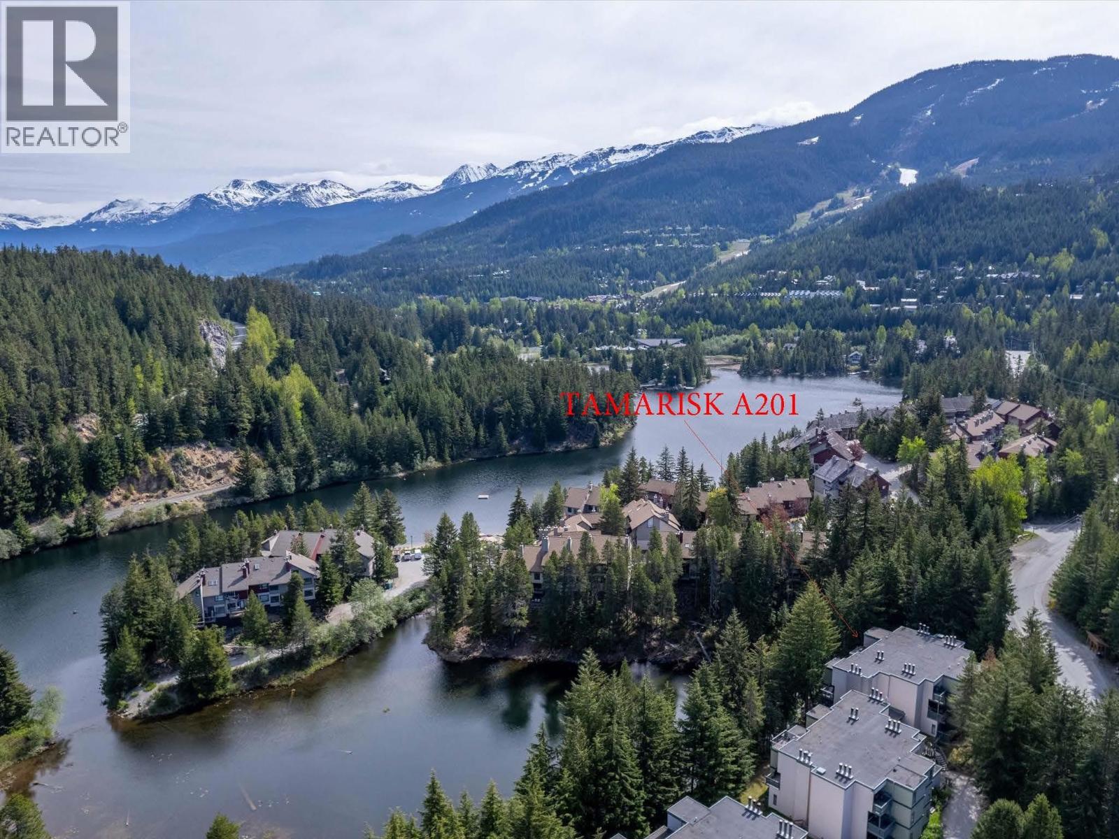 A201 1400 Alta Lake Road, Whistler, British Columbia  V8E 0G9 - Photo 19 - R3109446