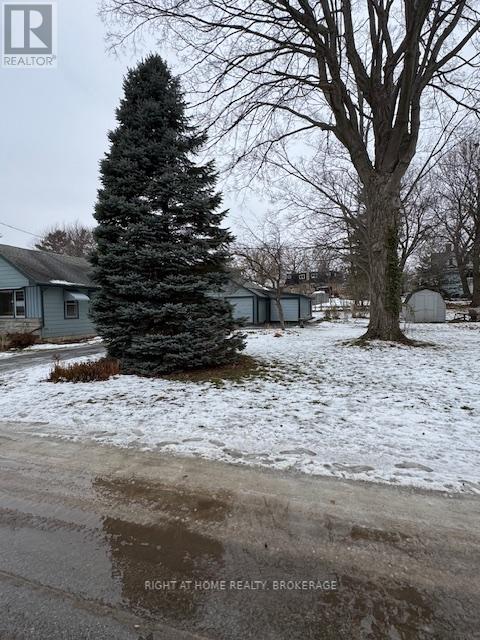 3906 Alexandra Road, Fort Erie, Ontario  L0S 1B0 - Photo 20 - X12643230