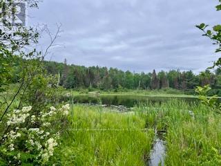 LOT 5 GEORGES ROAD, Bonfield, Ontario