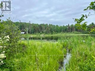 Lot 5 Georges Road, Bonfield, Ontario  P0H 1E0 - Photo 4 - X12996722