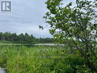 Lot 5 Georges Road, Bonfield, Ontario  P0H 1E0 - Photo 5 - X12996722