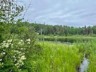 Lot 5 Georges Road, Bonfield, Ontario  P0H 1E0 - Photo 6 - X12996722