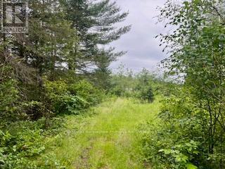 Lot 5 Georges Road, Bonfield, Ontario  P0H 1E0 - Photo 8 - X12996722