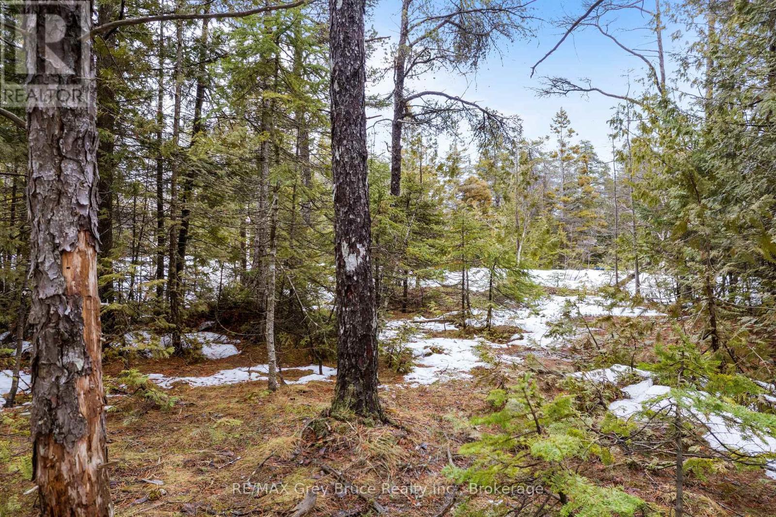 Lot 12 Willow Creek Crescent, Northern Bruce Peninsula, Ontario  N0H 2R0 - Photo 10 - X12996640