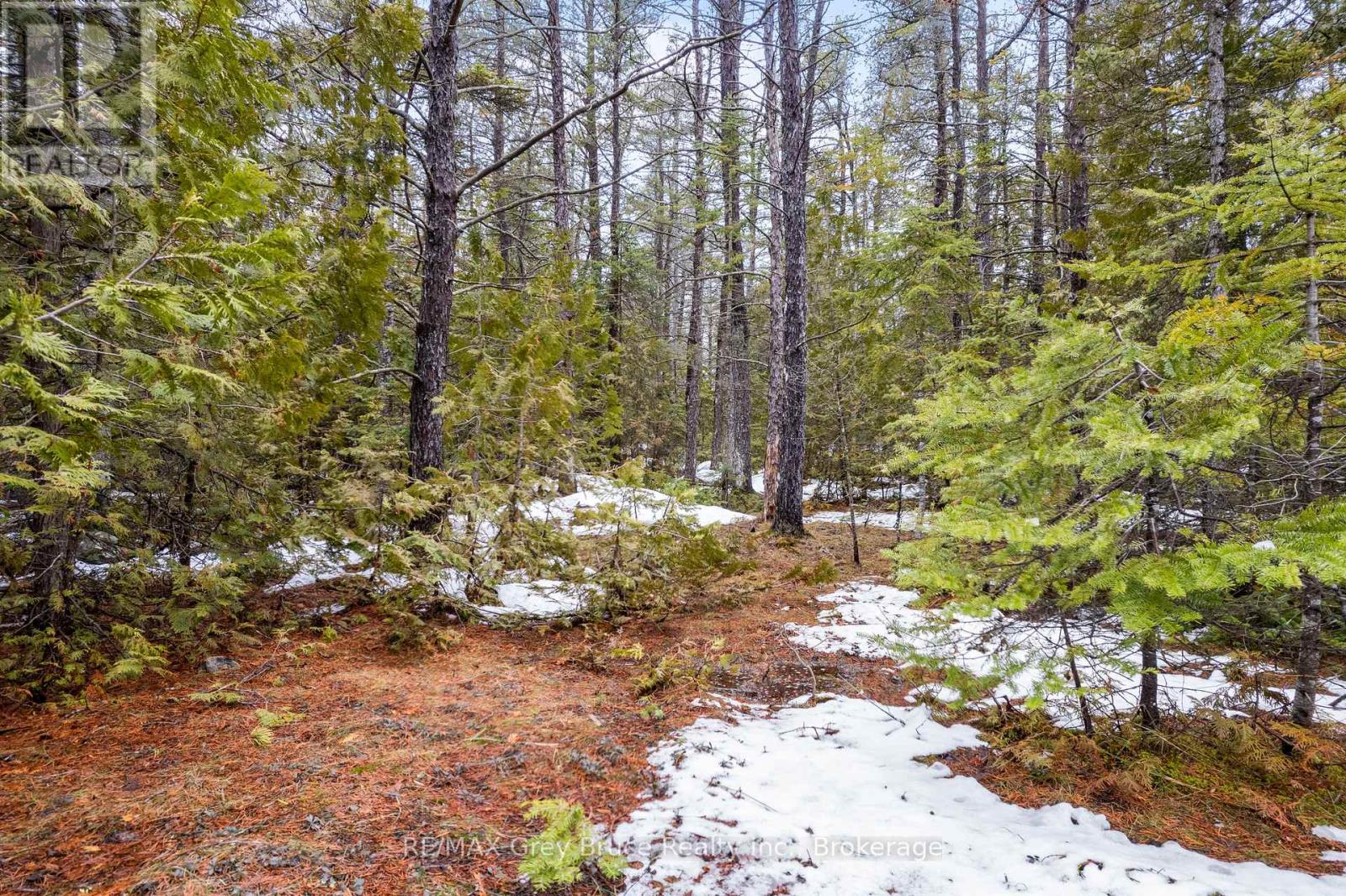 Lot 12 Willow Creek Crescent, Northern Bruce Peninsula, Ontario  N0H 2R0 - Photo 11 - X12996640