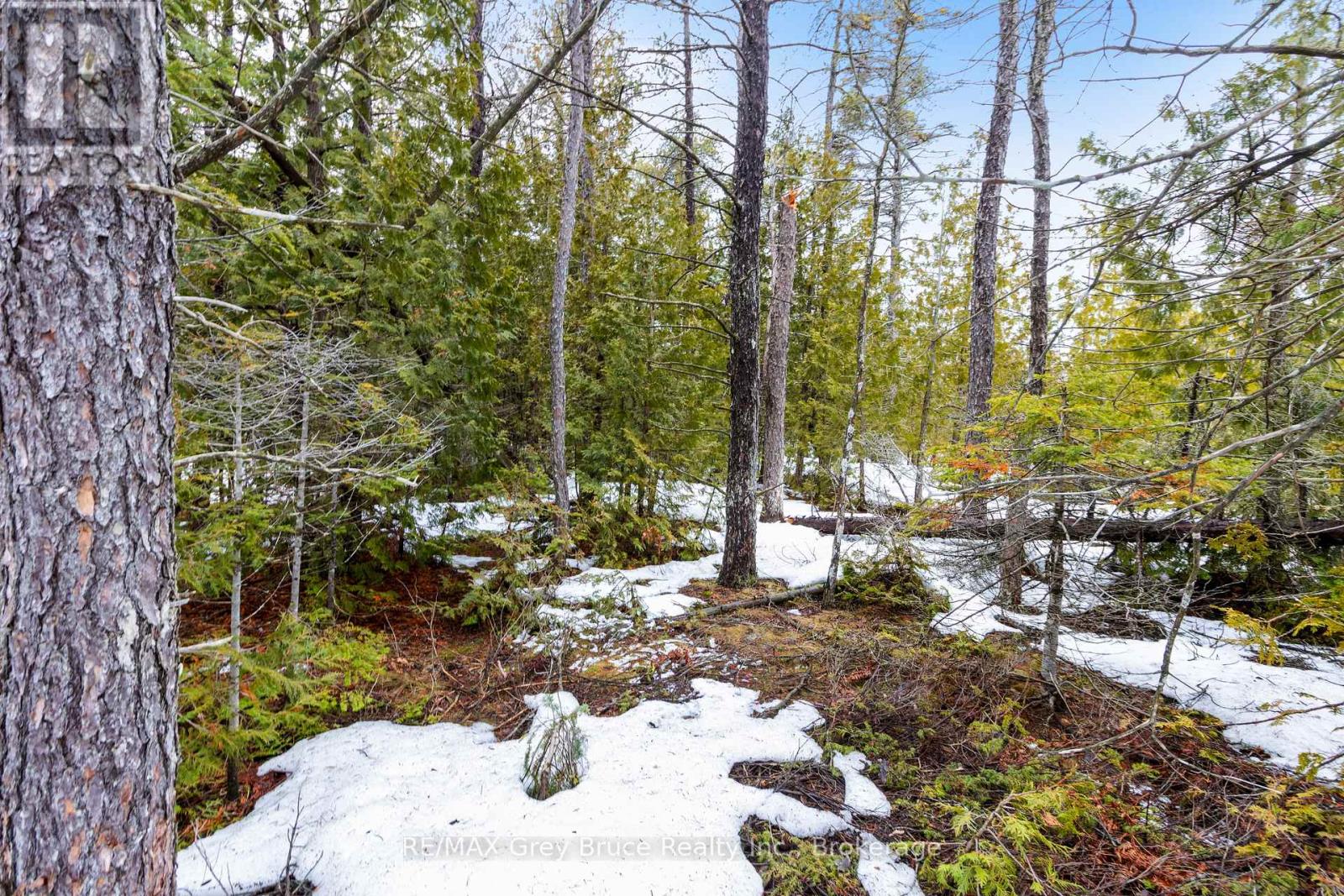 Lot 12 Willow Creek Crescent, Northern Bruce Peninsula, Ontario  N0H 2R0 - Photo 12 - X12996640