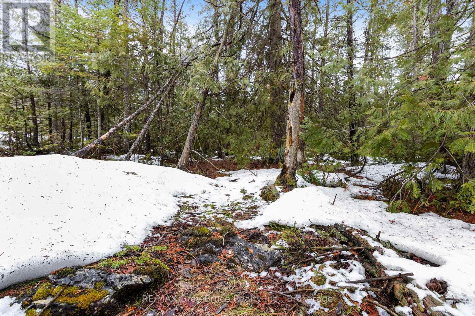 Lot 12 Willow Creek Crescent, Northern Bruce Peninsula, Ontario  N0H 2R0 - Photo 13 - X12996640