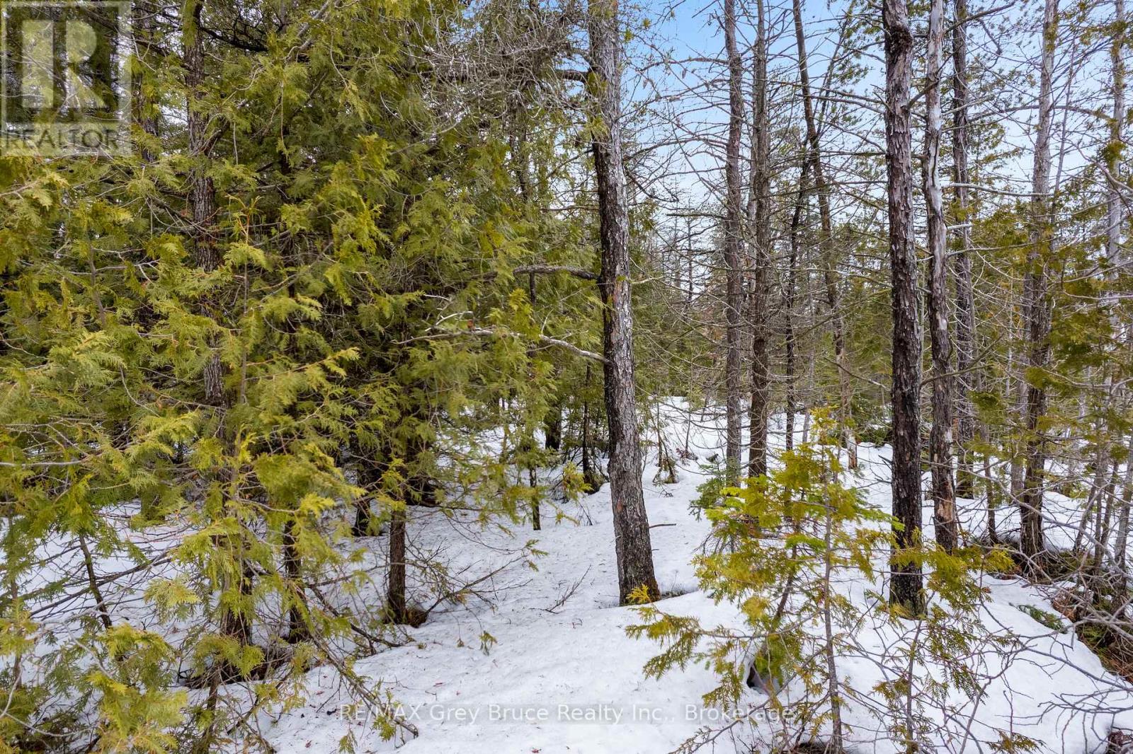 Lot 12 Willow Creek Crescent, Northern Bruce Peninsula, Ontario  N0H 2R0 - Photo 7 - X12996640