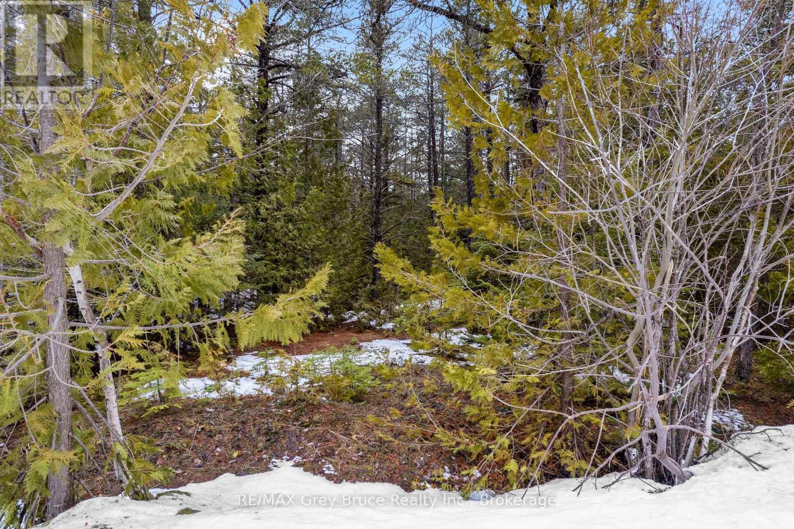 Lot 12 Willow Creek Crescent, Northern Bruce Peninsula, Ontario  N0H 2R0 - Photo 8 - X12996640