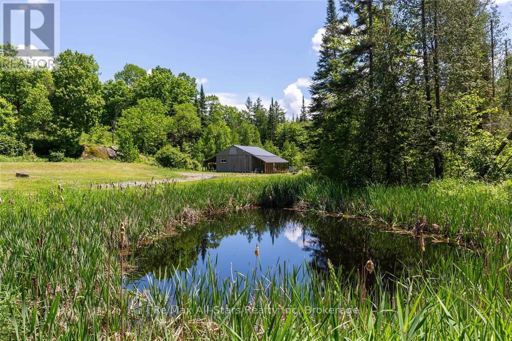 410 Etwell Road, Huntsville, Ontario  P1H 2J2 - Photo 37 - X12996726