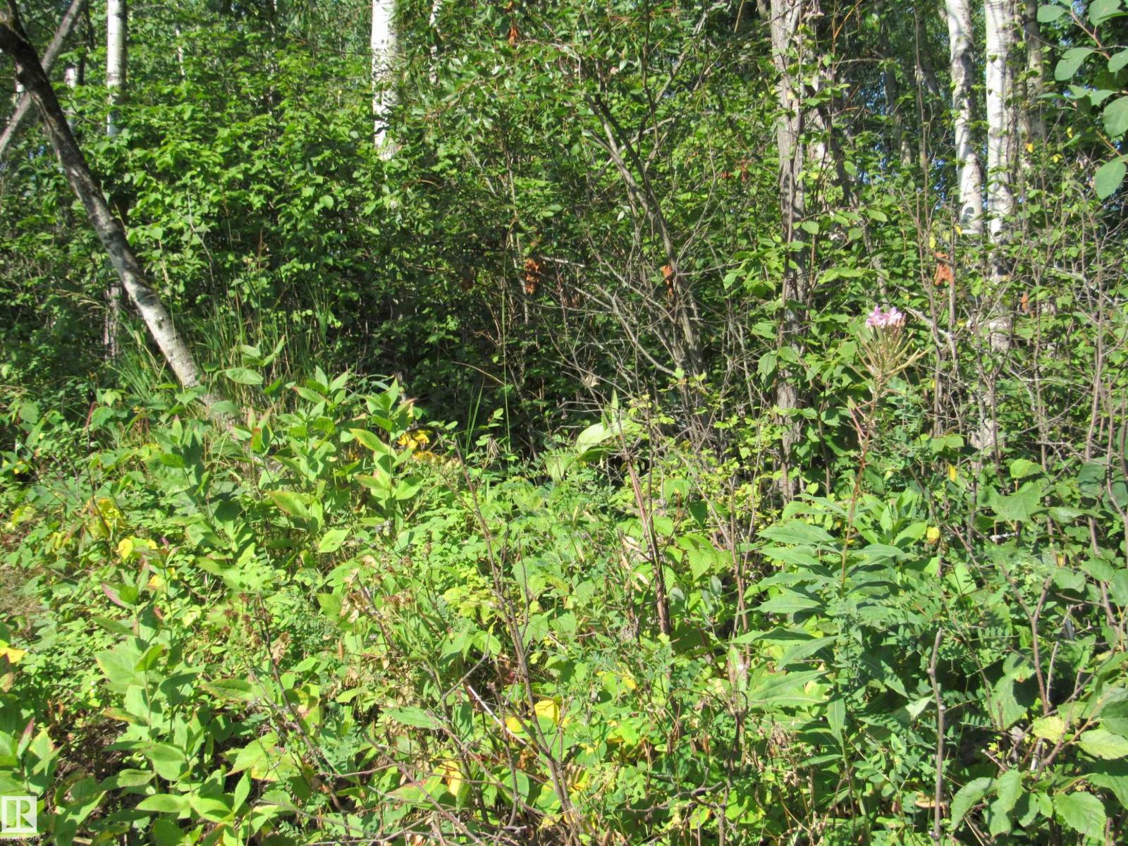 59316 Rge Rd 54 - Lot 61, Rural Barrhead County, Alberta  T7N 1N4 - Photo 11 - E4451444