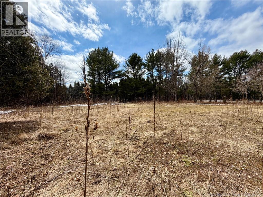 10030 105 Route, Beechwood, New Brunswick  E7J 1Y2 - Photo 5 - NB137136