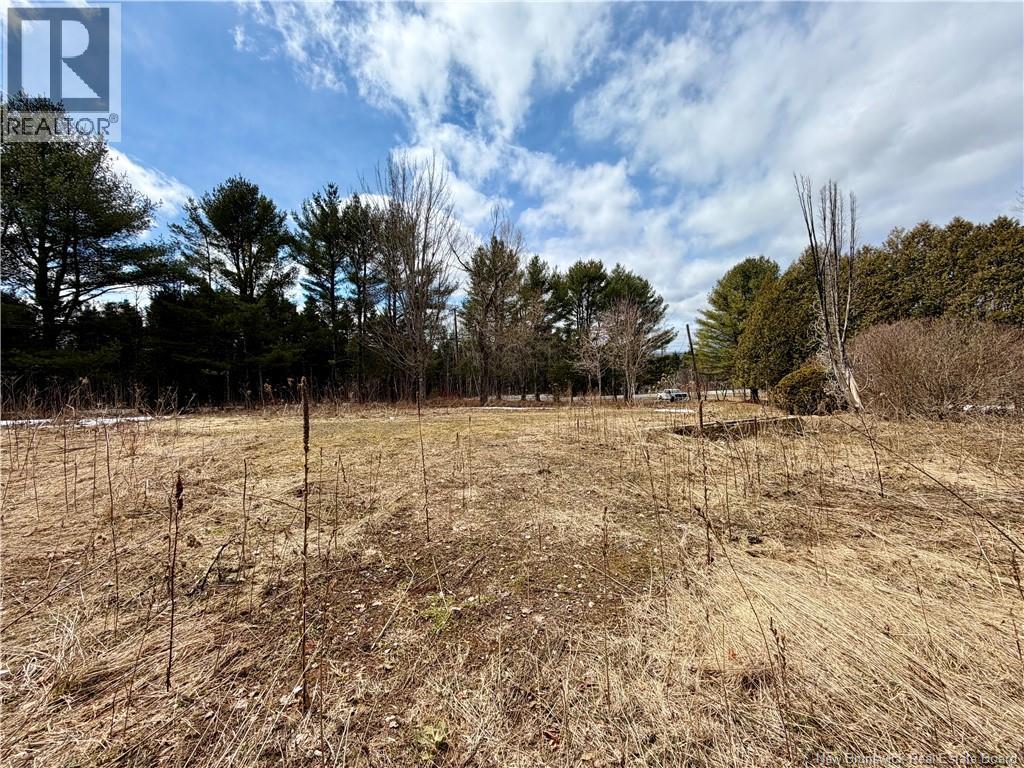 10030 105 Route, Beechwood, New Brunswick  E7J 1Y2 - Photo 4 - NB137136