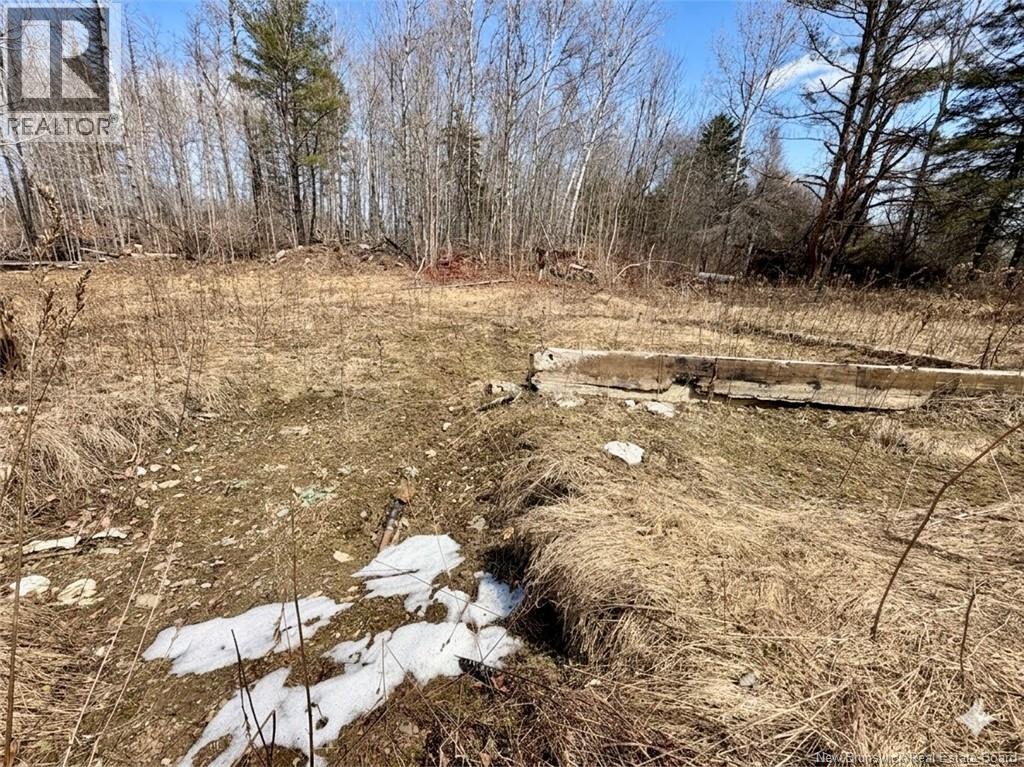 10030 105 Route, Beechwood, New Brunswick  E7J 1Y2 - Photo 11 - NB137136