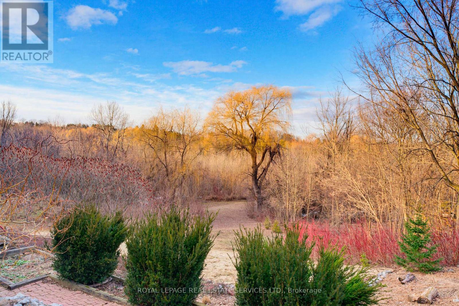 18 Cherry Street, Halton Hills, Ontario  L7G 3J8 - Photo 44 - W12933612